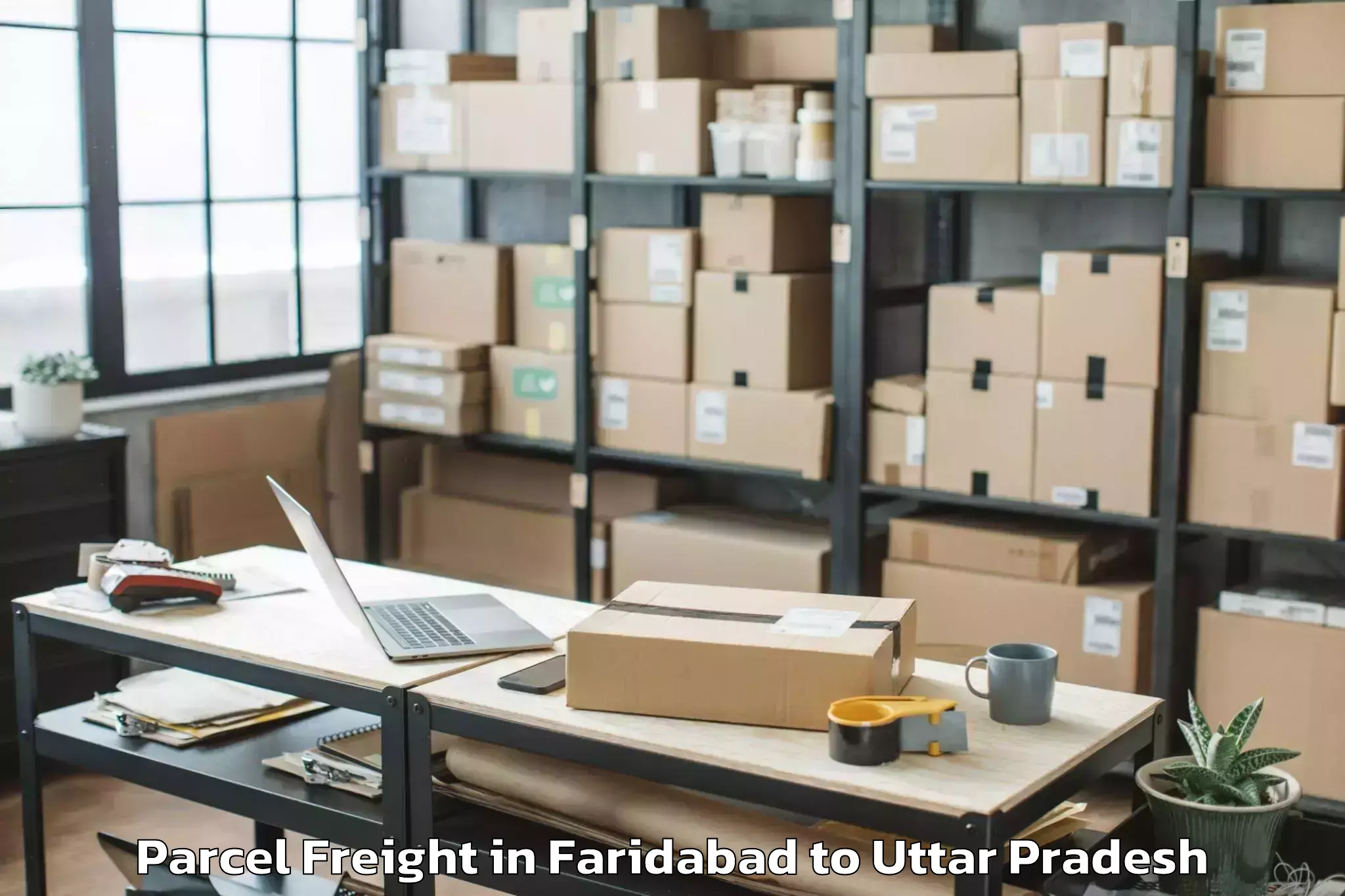 Easy Faridabad to Sikandra Rao Parcel Freight Booking